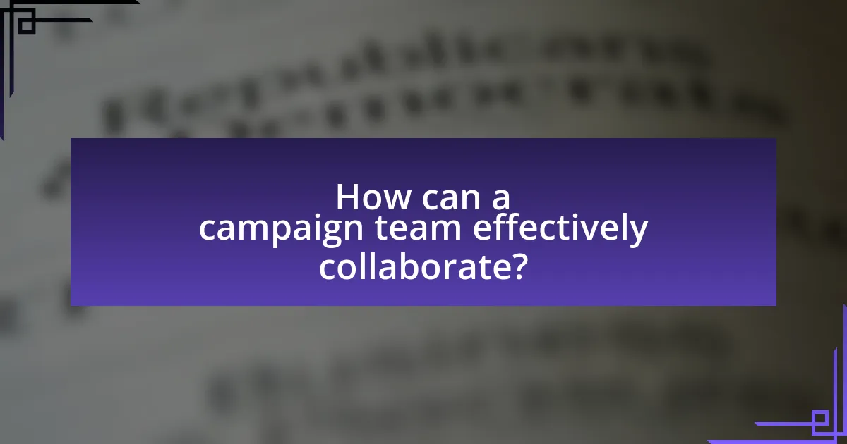 How can a campaign team effectively collaborate?