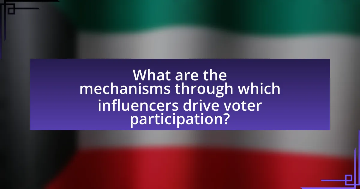 What are the mechanisms through which influencers drive voter participation?