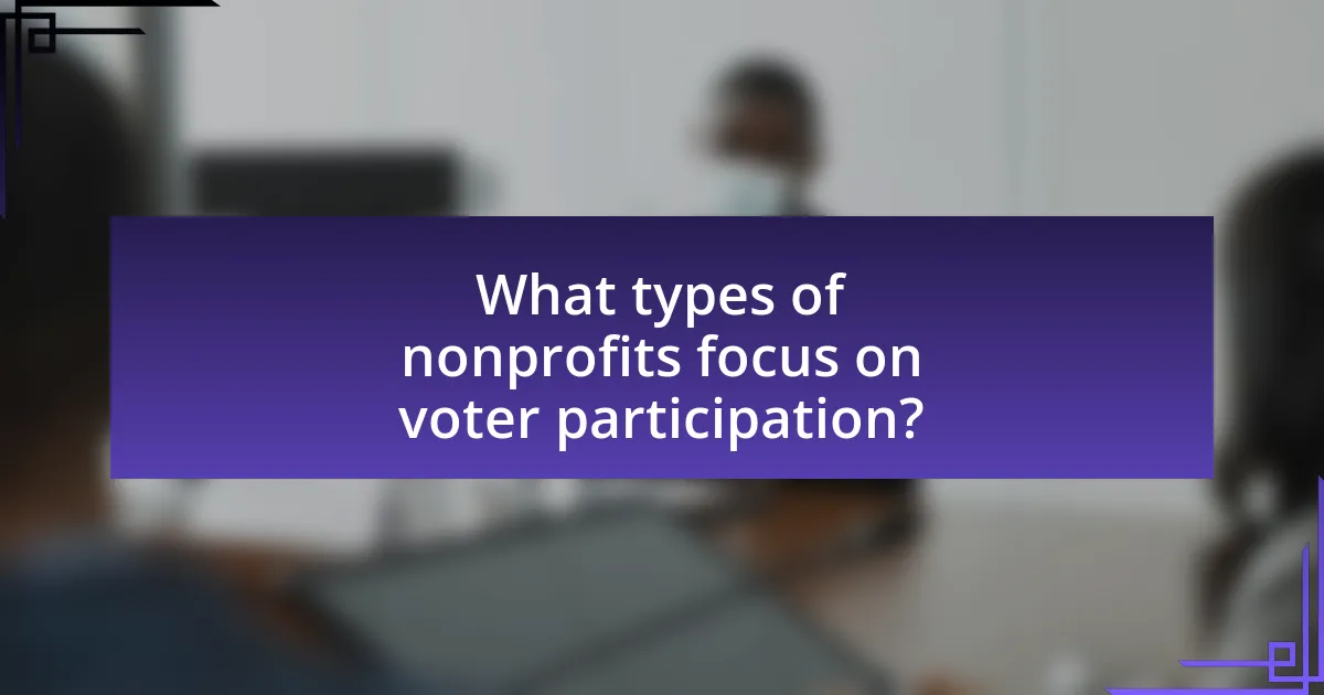 What types of nonprofits focus on voter participation?